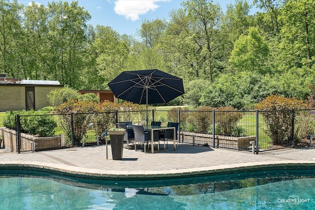 5N477 Curling Pond Rd, Wayne, IL 60184 - view of pool with a patio