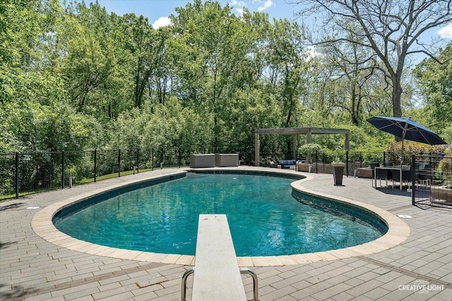 5N477 Curling Pond Rd, Wayne, IL 60184 - view of swimming pool featuring a pergola, a diving board, a patio area, and a hot tub