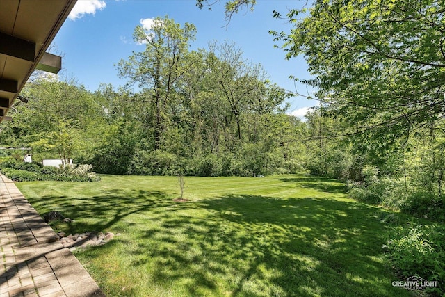 5N477 Curling Pond Rd, Wayne, IL 60184 - view of grassy yard featuring a view of trees