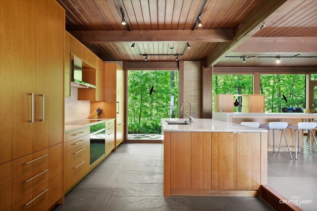 5N477 Curling Pond Rd, Wayne, IL 60184 - kitchen with rail lighting, plenty of natural light, wooden ceiling, and light countertops