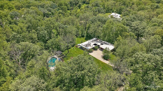 5N477 Curling Pond Rd, Wayne, IL 60184 - view from above of property with a forest and a pool area