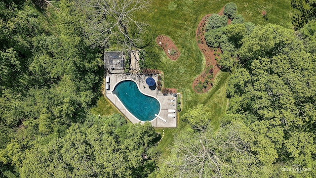 5N477 Curling Pond Rd, Wayne, IL 60184 - bird's eye view of a pool