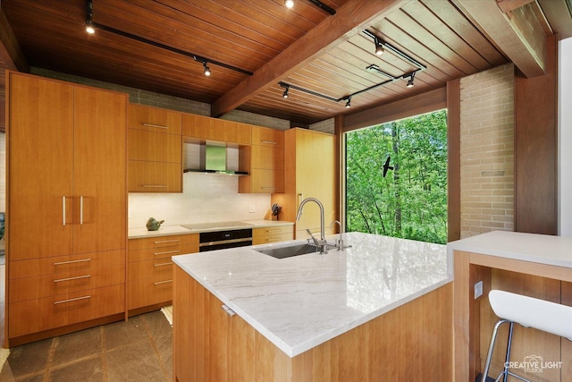 5N477 Curling Pond Rd, Wayne, IL 60184 - kitchen with rail lighting, wall chimney range hood, wooden ceiling, modern cabinets, and light stone countertops