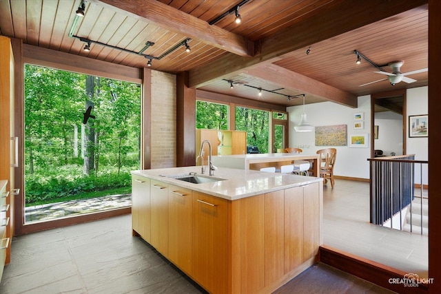 5N477 Curling Pond Rd, Wayne, IL 60184 - view of patio featuring a ceiling fan
