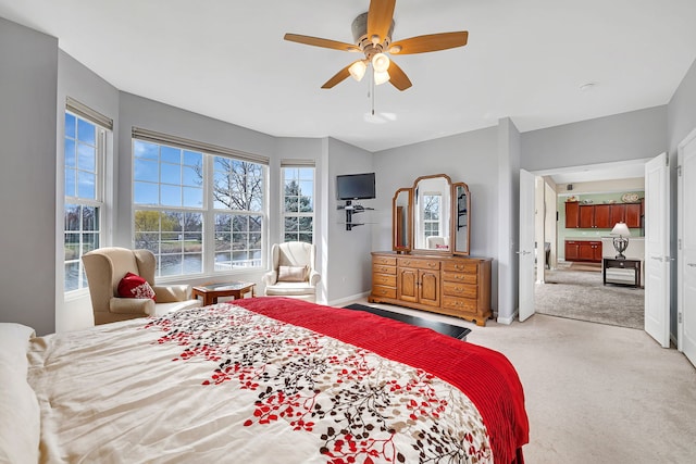 814 Glory Ct, Shorewood, IL 60404 - bedroom featuring carpet flooring, a ceiling fan, and baseboards