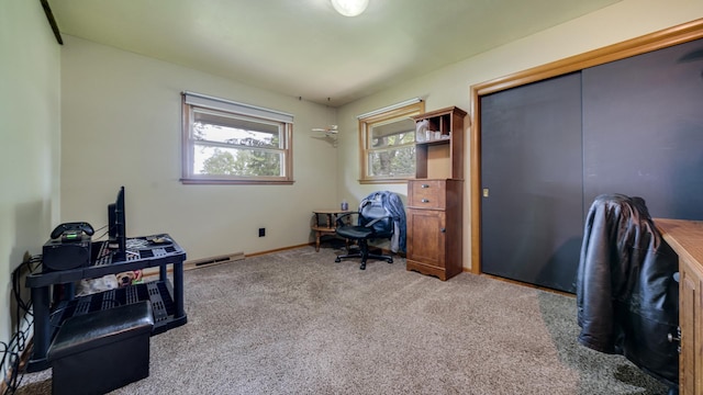 113 Maple Ave, Mount Morris, IL 61054 - office space featuring carpet flooring and baseboards