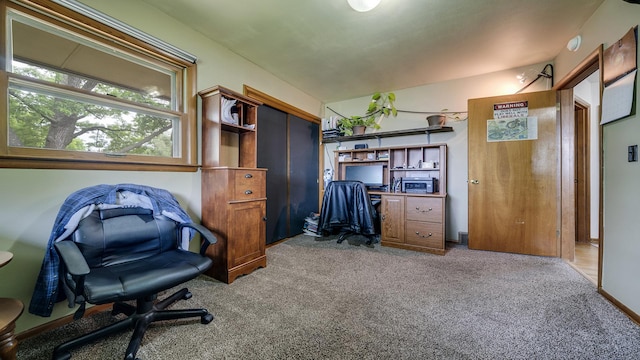 113 Maple Ave, Mount Morris, IL 61054 - office area featuring light carpet