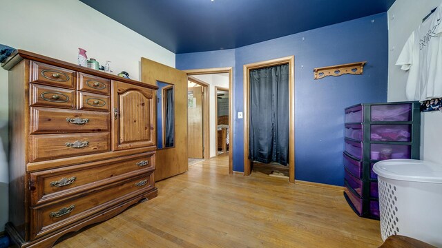 113 Maple Ave, Mount Morris, IL 61054 - bedroom featuring light wood-type flooring