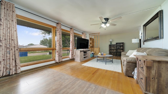 113 Maple Ave, Mount Morris, IL 61054 - living room featuring wood finished floors and ceiling fan