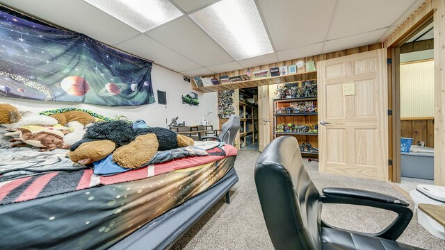 113 Maple Ave, Mount Morris, IL 61054 - bedroom with a paneled ceiling, carpet flooring, and wooden walls