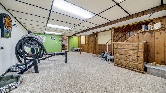 113 Maple Ave, Mount Morris, IL 61054 - exercise room with carpet and wooden walls