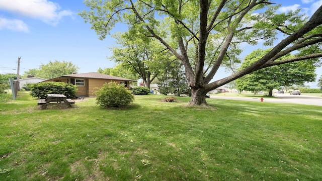 113 Maple Ave, Mount Morris, IL 61054 - view of green lawn