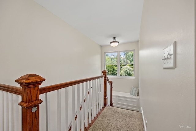 122 S Grant St, Westmont, IL 60559 - photo 16