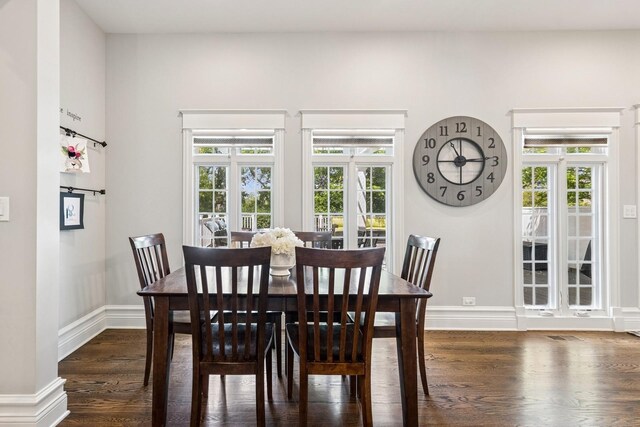 16 Tuttle Ave, Clarendon Hills, IL 60514 - dining area with wood finished floors, plenty of natural light, and baseboards