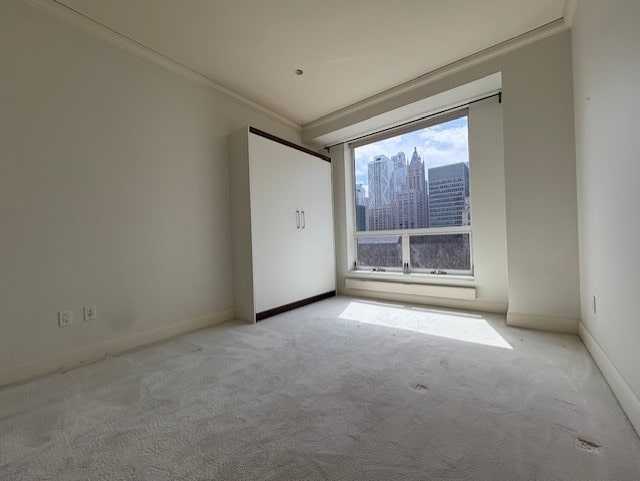 270 E Pearson St Unit 602, Chicago, IL 60611 - carpeted spare room featuring ornamental molding, baseboards, and a city view