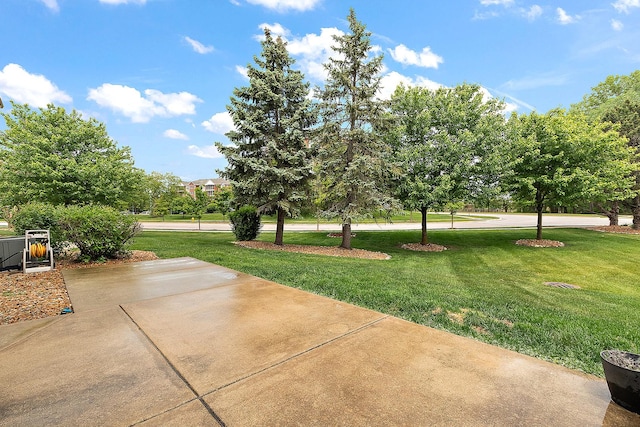 7706 Northfield Ln, Tinley Park, IL 60487 - photo 22