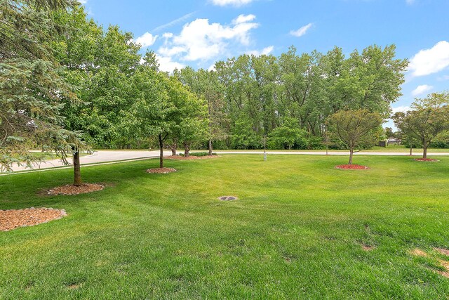 7706 Northfield Ln, Tinley Park, IL 60487 - photo 23