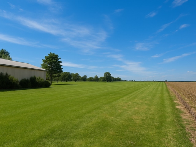 1975 W Minooka Rd, Morris, IL 60450 - view of grassy yard