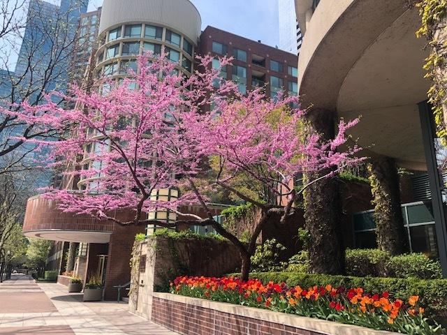 480 N Mcclurg Ct Unit 807, Chicago, IL 60611 - view of property