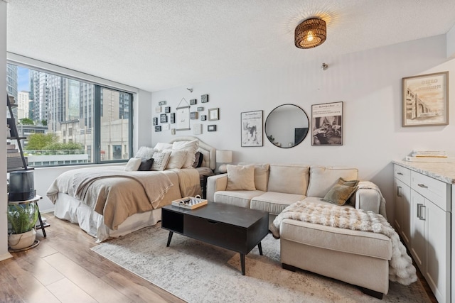 480 N Mcclurg Ct Unit 807, Chicago, IL 60611 - bedroom featuring light wood-style floors and a textured ceiling