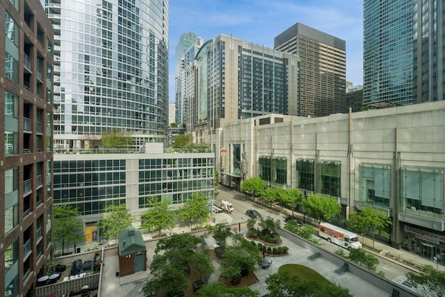 480 N Mcclurg Ct Unit 807, Chicago, IL 60611 - view of city