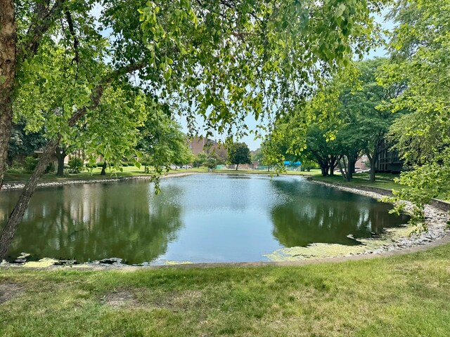 8100 W Foster Ln Unit 504, Niles, IL 60714 - photo 22