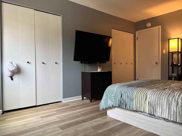 900 S River Rd Unit 3A, Des Plaines, IL 60016 - bedroom featuring wood finished floors and a closet