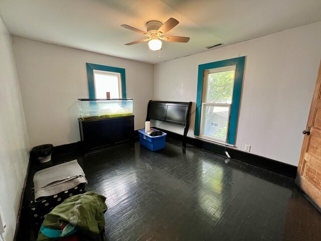 335 N Highway Ave, Deland, IL 61839 - living room with healthy amount of natural light, hardwood / wood-style flooring, and ceiling fan
