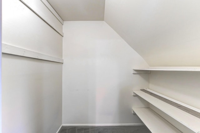 614 E 92nd Pl, Chicago, IL 60619 - walk in closet with carpet flooring and lofted ceiling