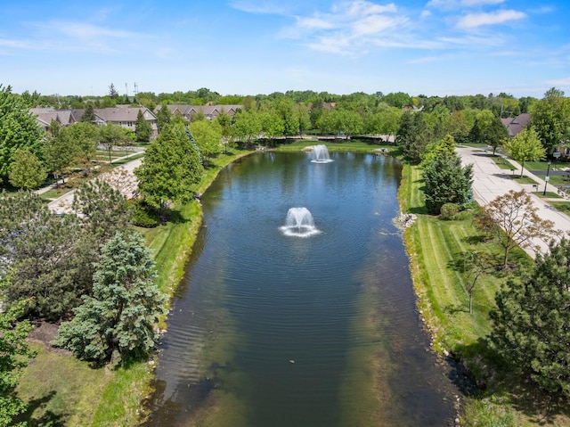 2127 Apple Hill Ln, Buffalo Grove, IL 60089 - aerial view of a large body of water