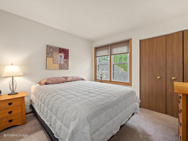 1937 N Coldspring Rd, Arlington Heights, IL 60004 - bedroom with light carpet and a closet
