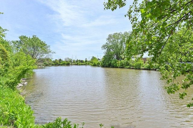 1757 Eastwood Ct Unit 8, Schaumburg, IL 60195 - photo 26