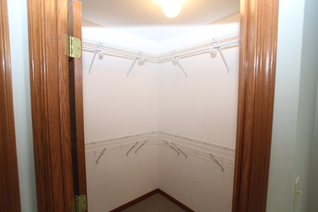 176 Millers Xing, Itasca, IL 60143 - spacious closet featuring carpet flooring