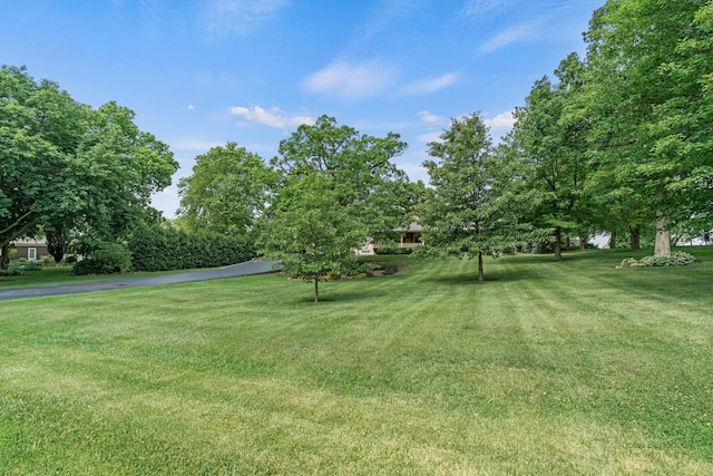 19N050 Felsmith Rd, Hampshire, IL 60140 - view of grassy yard