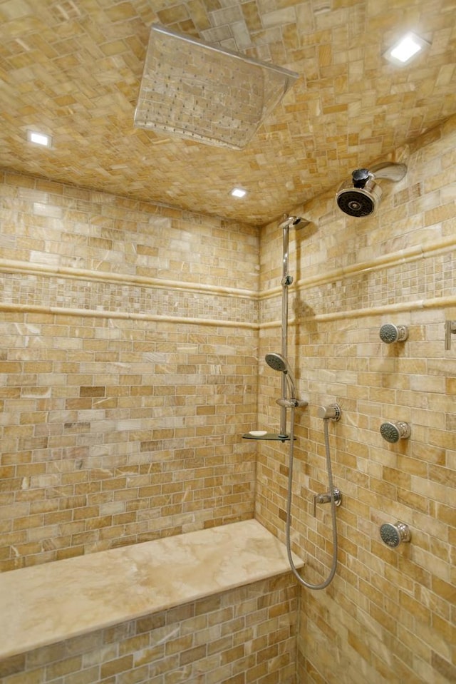 111 E Chestnut St Unit 24C, Chicago, IL 60611 - full bath featuring tiled shower