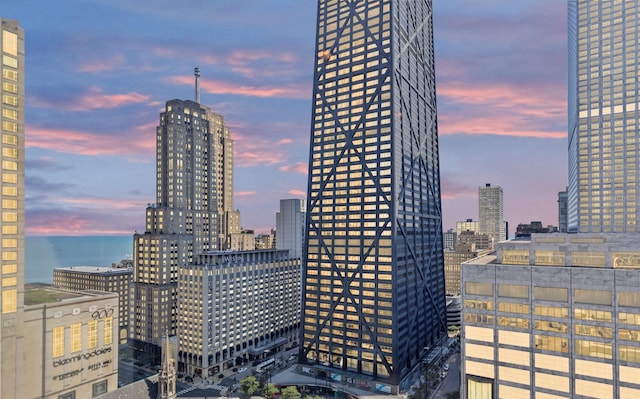 111 E Chestnut St Unit 24C, Chicago, IL 60611 - view of city skyline