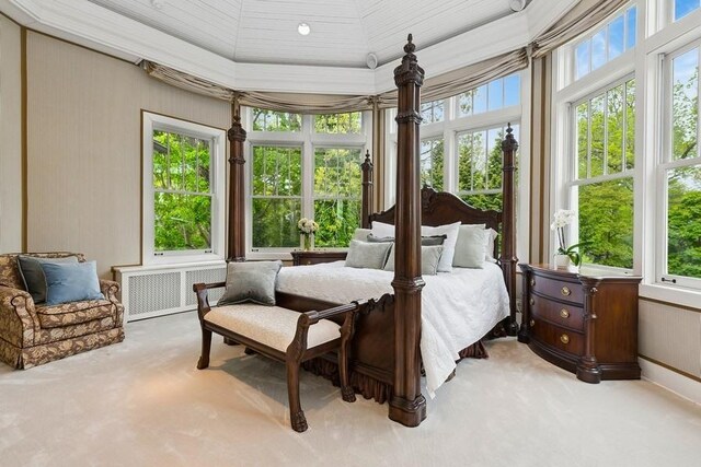 bedroom with multiple windows, carpet floors, and radiator heating unit