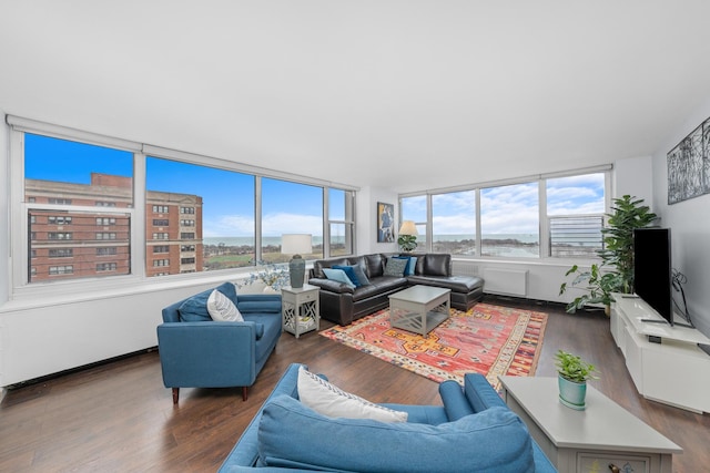 4250 N Marine Dr Unit 1622, Chicago, IL 60613 - living room featuring wood finished floors