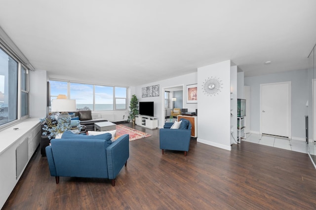 4250 N Marine Dr Unit 1622, Chicago, IL 60613 - living room with wood finished floors and baseboards