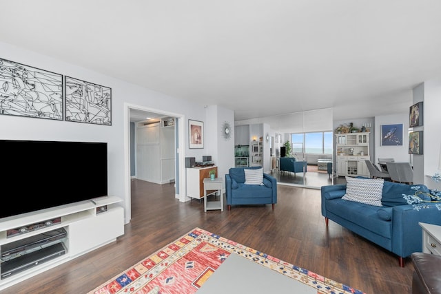 4250 N Marine Dr Unit 1622, Chicago, IL 60613 - living room with wood finished floors