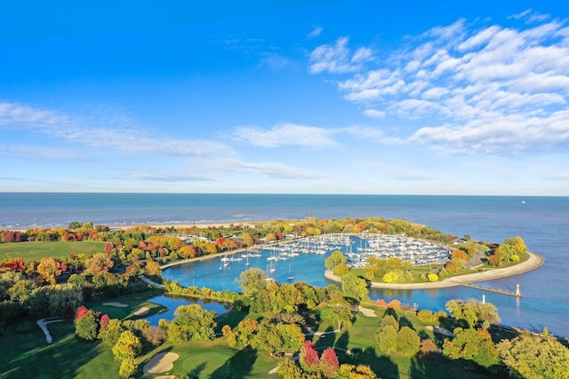 4250 N Marine Dr Unit 1622, Chicago, IL 60613 - aerial view of a large body of water