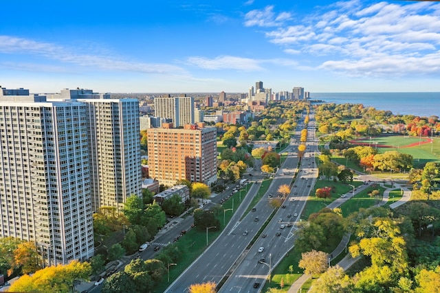 4250 N Marine Dr Unit 1622, Chicago, IL 60613 - view of urban area featuring a major roadway and a large body of water