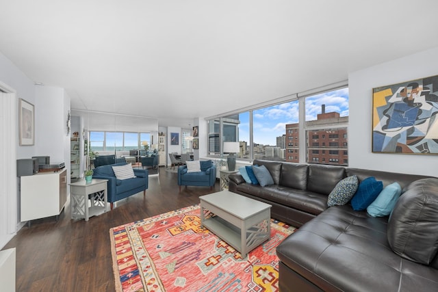 4250 N Marine Dr Unit 1622, Chicago, IL 60613 - living area featuring wood finished floors and a view of city