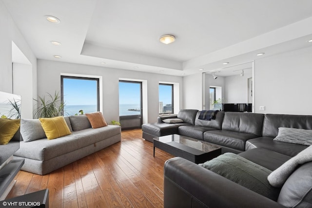 1100 N Lake Shore Dr Unit 33A, Chicago, IL 60611 - living area with wood-type flooring and recessed lighting