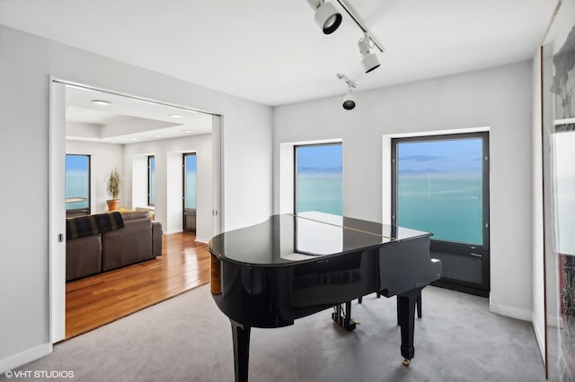 1100 N Lake Shore Dr Unit 33A, Chicago, IL 60611 - dining space with carpet flooring, track lighting, baseboards, and wood finished floors