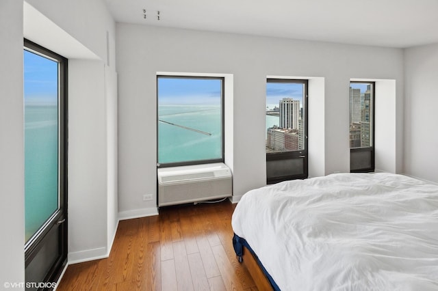 1100 N Lake Shore Dr Unit 33A, Chicago, IL 60611 - bedroom featuring multiple windows, wood-type flooring, a wall mounted AC, and baseboards