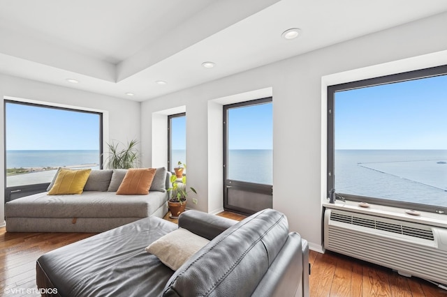 1100 N Lake Shore Dr Unit 33A, Chicago, IL 60611 - living room featuring hardwood / wood-style flooring, healthy amount of natural light, baseboards, and recessed lighting