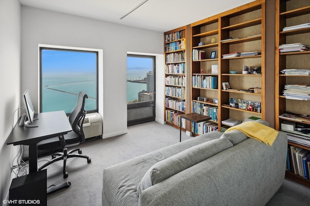 1100 N Lake Shore Dr Unit 33A, Chicago, IL 60611 - office featuring carpet flooring and a water view