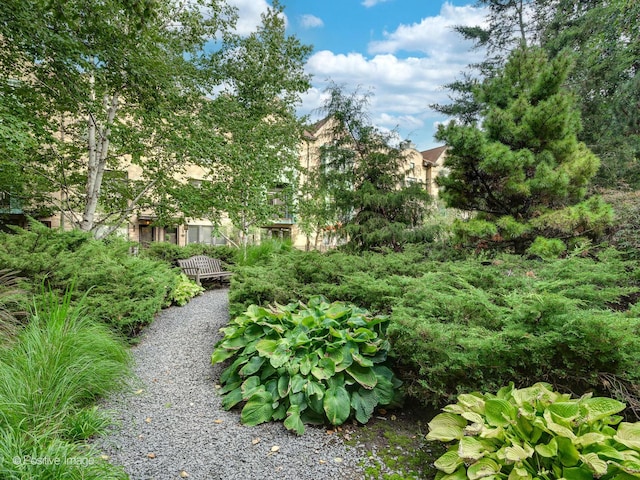 1301 W Madison St Unit 402, Chicago, IL 60607 - view of community