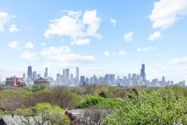 2354 W Farragut Ave Unit Ph-404, Chicago, IL 60625 - skyline view